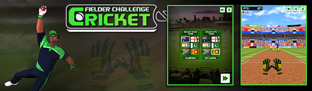 Cricket Fielder Challenge