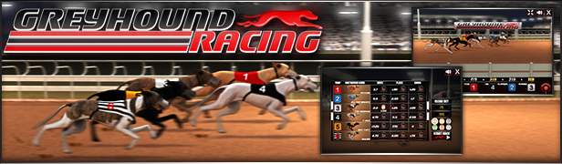 Greyhound Racing